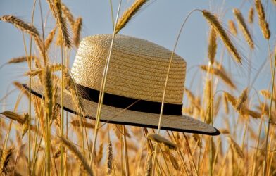 Pendant l'été